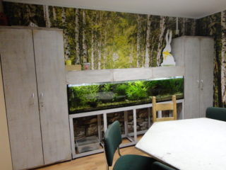 Pomieszczenie z fototapetą która przedstawia las oraz z podłużnym akwarium miedzy dwiema szafami.