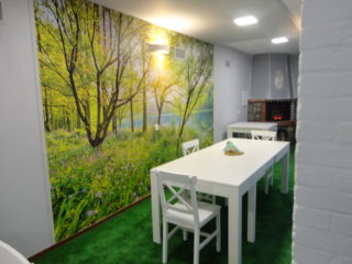 Pomieszczenie z zieloną wykładziną oraz białym stołem i krzesłami. W dalszym planie fototapeta lasu oraz kominek.
