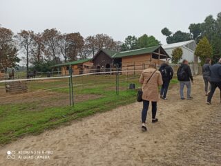 Grupa osób idzie drogą obok wybiegu dla koni. W dalszym planie widać stajnie.