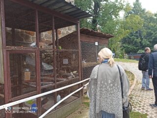 Klatki z ptakami przy których stoi kobieta. Dalej stoi dwóch mężczyzn a w oddali widać zielone drzewa.